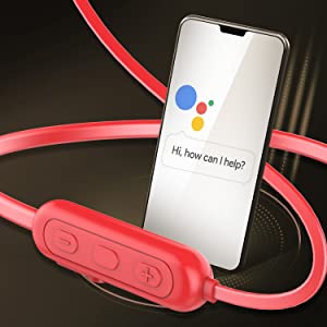 Voice Assistant Integration